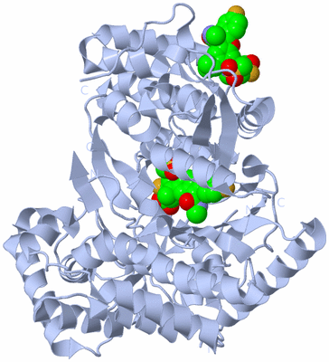 Image Biological Unit 1