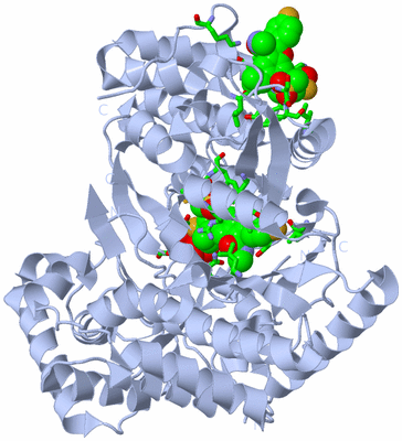 Image Biol. Unit 1 - sites