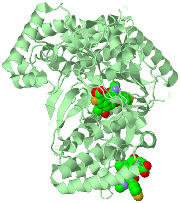 Image Biological Unit 2