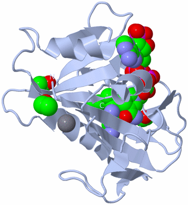 Image Biological Unit 1