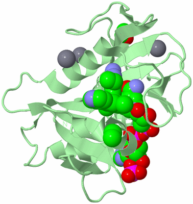 Image Biological Unit 2