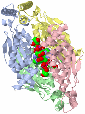 Image Asym./Biol. Unit