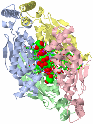 Image Asym./Biol. Unit - sites