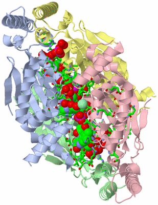 Image Asym./Biol. Unit - sites