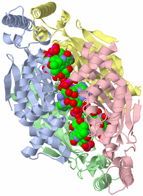 Image Asym./Biol. Unit