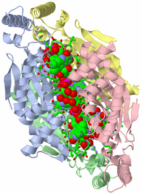 Image Asym./Biol. Unit - sites