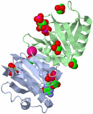 Image Asym./Biol. Unit