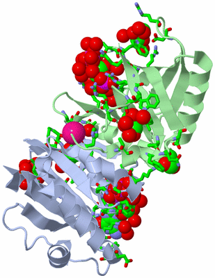 Image Asym./Biol. Unit - sites