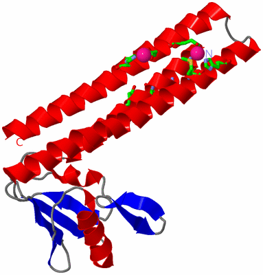 Image Asym./Biol. Unit - sites