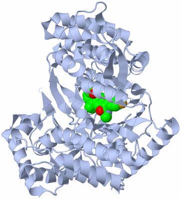 Image Biological Unit 1