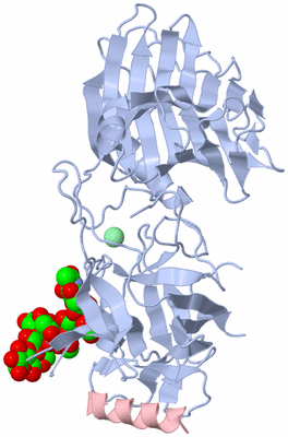 Image Biological Unit 1