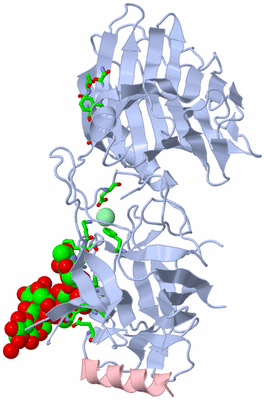 Image Biol. Unit 1 - sites