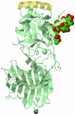 Image Biological Unit 2