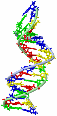 Image NMR Structure - model 1