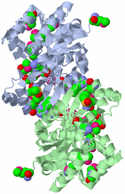 Image Asym./Biol. Unit