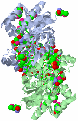 Image Asym./Biol. Unit - sites