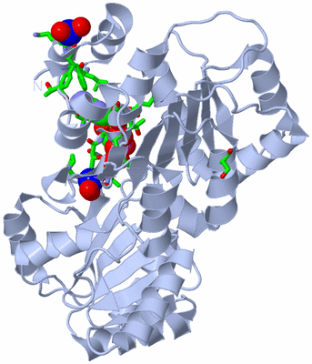 Image Biol. Unit 1 - sites