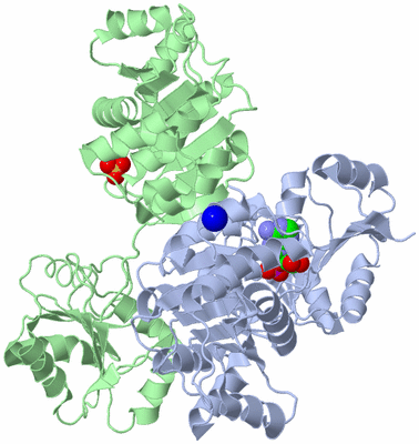 Image Biological Unit 3