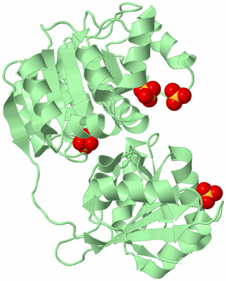 Image Biological Unit 2