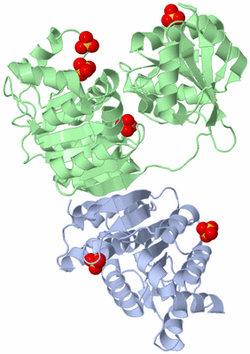 Image Biological Unit 3