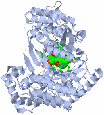 Image Biol. Unit 1 - sites