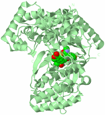 Image Biological Unit 2