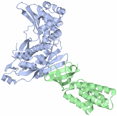 Image Asym./Biol. Unit