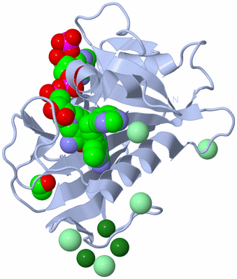 Image Biological Unit 1