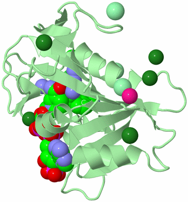 Image Biological Unit 2