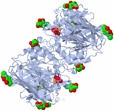 Image Biological Unit 1