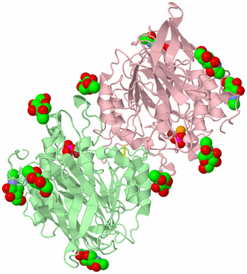 Image Biological Unit 2