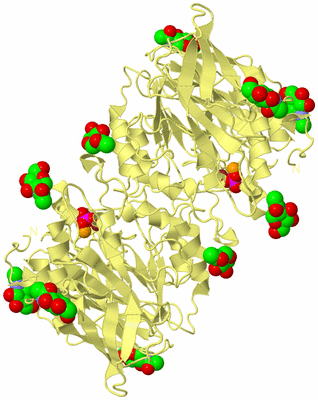 Image Biological Unit 3