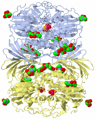 Image Biological Unit 4