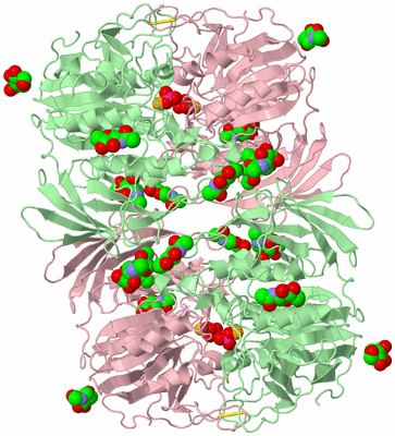 Image Biological Unit 5