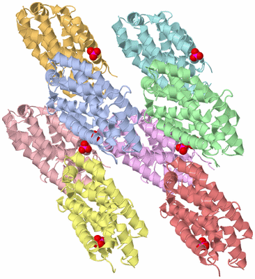 Image Asymmetric Unit