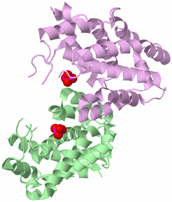 Image Biological Unit 10