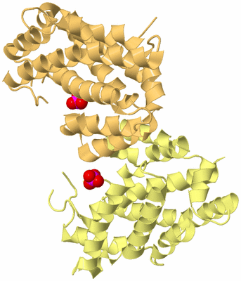 Image Biological Unit 11