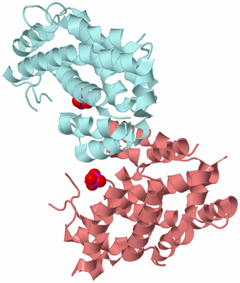 Image Biological Unit 12