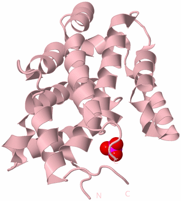 Image Biological Unit 3