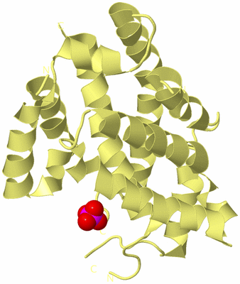 Image Biological Unit 4