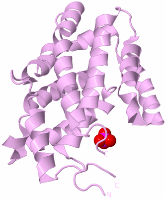 Image Biological Unit 5