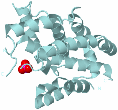 Image Biological Unit 6