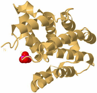 Image Biological Unit 7