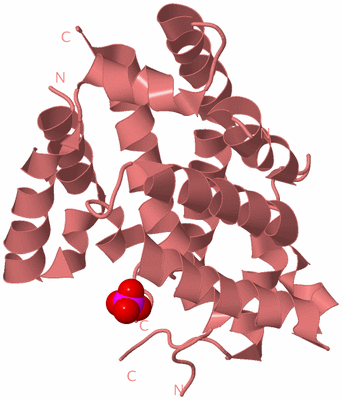 Image Biological Unit 8