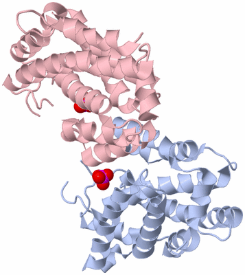 Image Biological Unit 9