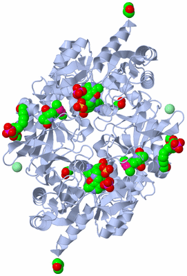 Image Biological Unit 1