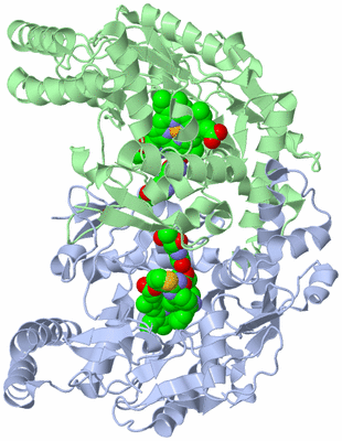 Image Asym./Biol. Unit