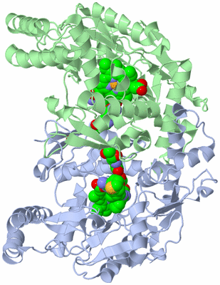 Image Asym./Biol. Unit