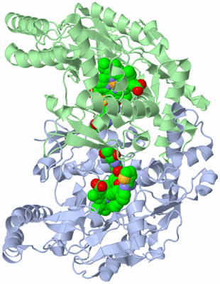 Image Asym./Biol. Unit