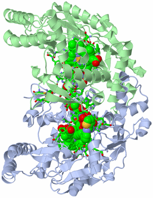 Image Asym./Biol. Unit - sites